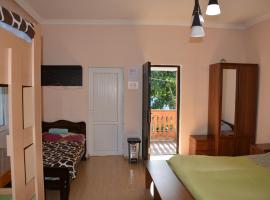 Budget Hostel in Mestia，位于梅斯蒂亚的酒店