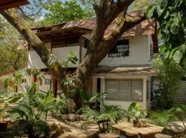 Noni garden apartment