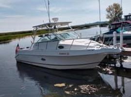 AuGres Walleye Assassin Charters，位于Au Gres的酒店