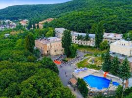 Дом Писателей Цахкадзора，位于萨克德佐尔镇的酒店