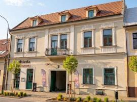 Boutique Hotel H23，位于佩济诺克的酒店