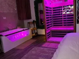 SpaNish SKY 1 sauna&jacuzzi