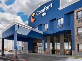 Comfort Inn Eagan Minneapolis - St Paul South，位于伊根的酒店