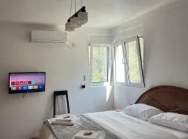 Apartament Qetesia