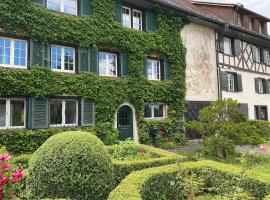 Historisches Fachwerkhaus mit Blick auf den See，位于Salenstein的酒店