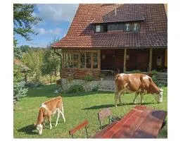 Mountain house