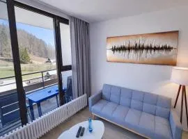 Studio Bernhard mit Pool und Sauna