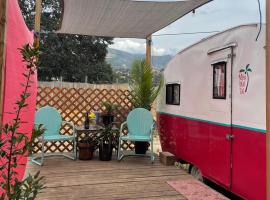 Mai Tai Tiki Camper Near Sequoia & Kings Canyon，位于Dunlap的酒店