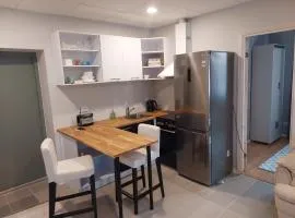 Elva Arbimäe apartment