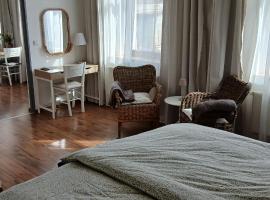 Apartmány Šrámek Stříbro，位于斯特日布罗的酒店