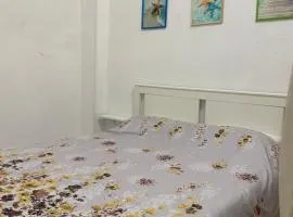 Little house