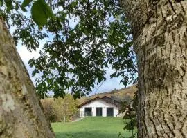 El Refugio del Oso Apartamentos rurales 1