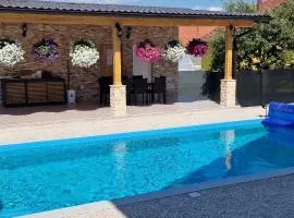 Villa Oaza Vilenjak