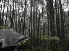 Lembah Pinus Cikole