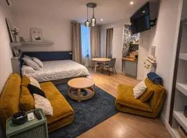 Damalia - Suite 7 - Aix Les Bains Hyper centre - proche Casino