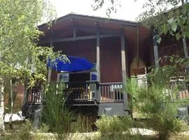 chalet dans les pins