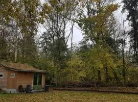 The Hyacint House