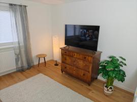 Cozy Modern Apartment in Seelbach near Europa Park，位于塞尔巴赫的酒店