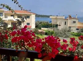 Theano apartment