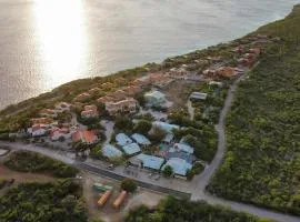 Green Sea Turtle Modern Stay by the Sea