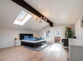 Large apt in town center next to Brunngasse & near lake