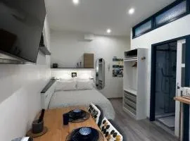 Damalia - Suite 4 - Aix Les Bains Hyper centre - proche Casino