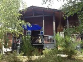 chalet dans la pinède 158 avenue de maubuisson