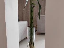 فيلا villa VIP