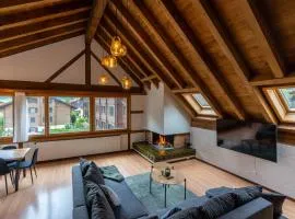 Jungfrau-View Apartment, terrace & free parking
