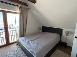 Preila summer house near the Curonian Lagoon，位于内林加的酒店
