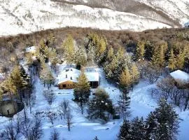 Anima Resort Aghveran - Forest Retreat