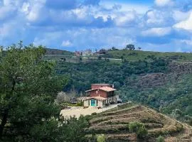 Ayda Bağları Winery & Vineyards
