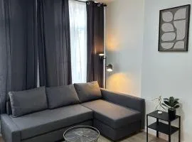 Modern Apt for 4 Near City Center