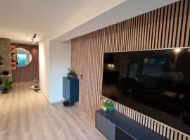 Aurora Central Premium Apartment II, Bodø