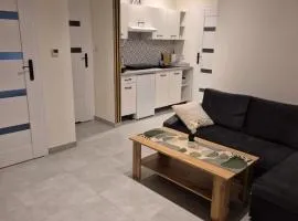 Apartament Rodzinny