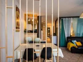 Grand appartement spacieux au centre de Chambéry, gare à pied