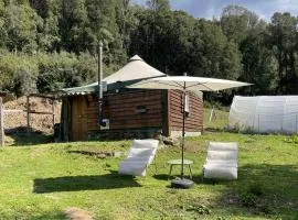 Cabane 2