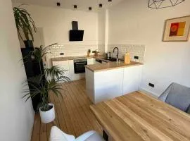 Moderne Wohnung mit Garten - Top Lage im schönen Mauritzviertel