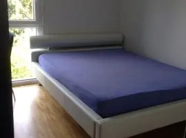 Private room in new apartment, Bouchet It takes ten minutes to go to the airport by bus