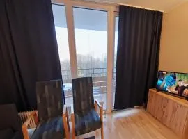 Familienappartement Marianne mit Pool und Sauna