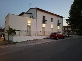 b&b Vitae