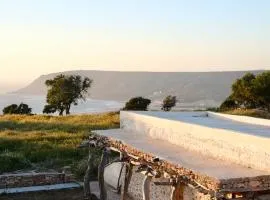 Wilde Tigmi