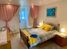 Ensuite Room Exeter near Hospital, St Lukes, County Hall