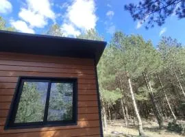 Vruçaj' s Cabin