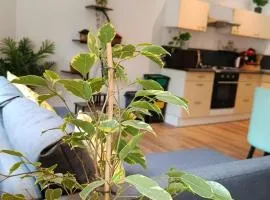 Appartement 2