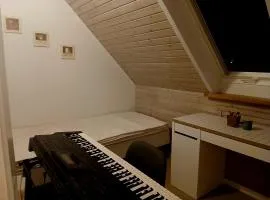Family Private house with 4-5 rooms