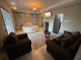 Joy Luxury Estate Villa，位于金斯敦的酒店