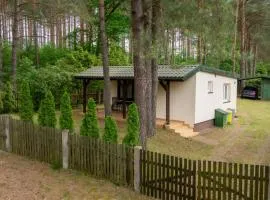 Domek w Puszczy