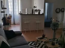 Appartement T2 centre-ville