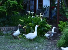 Alojamiento Rural Casa Quinta Peumayen，位于伊斯拉德迈波的乡间豪华旅馆